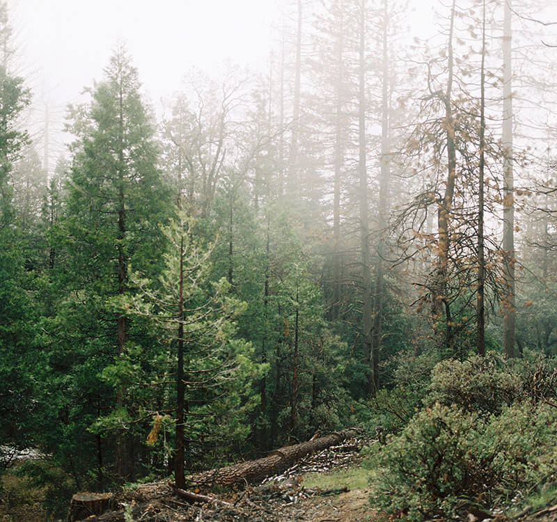 photographer-25
